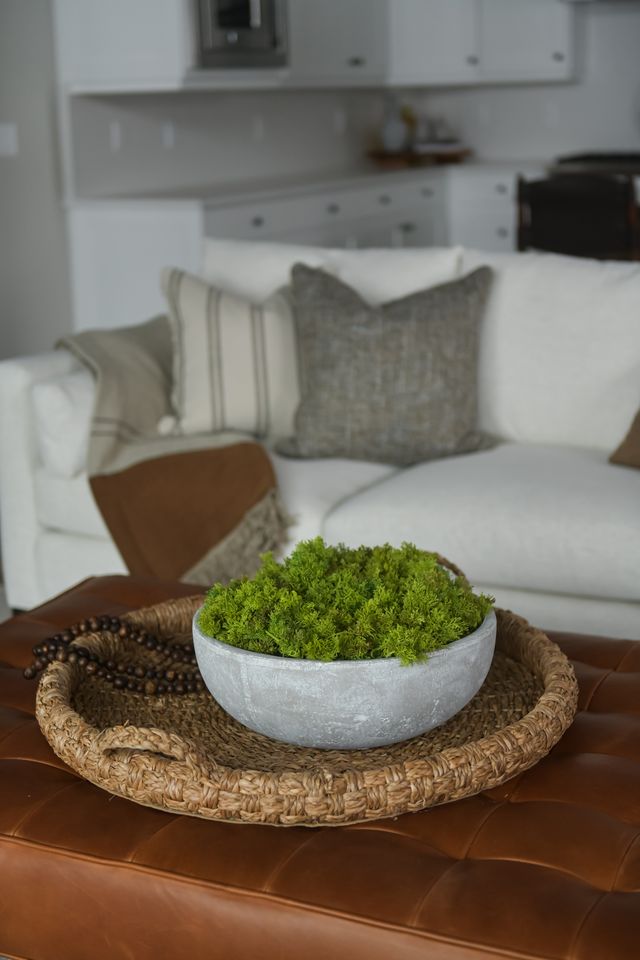 Moss Hanging Vine