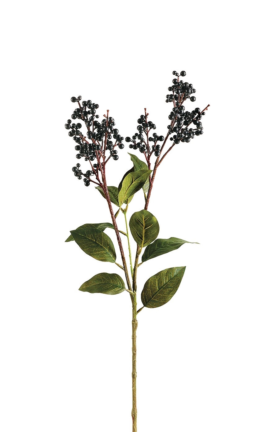 Lecosda Berry Spray