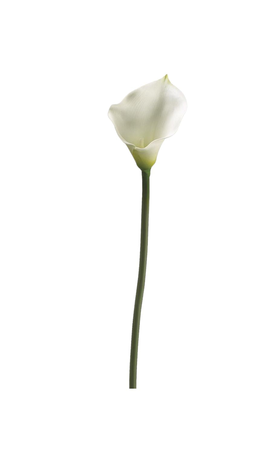 Calla Lily Spray