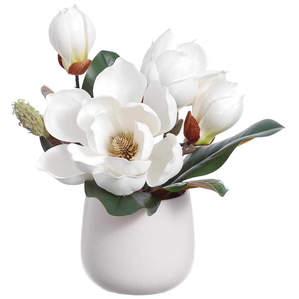 Magnolia Arrangement in Vase