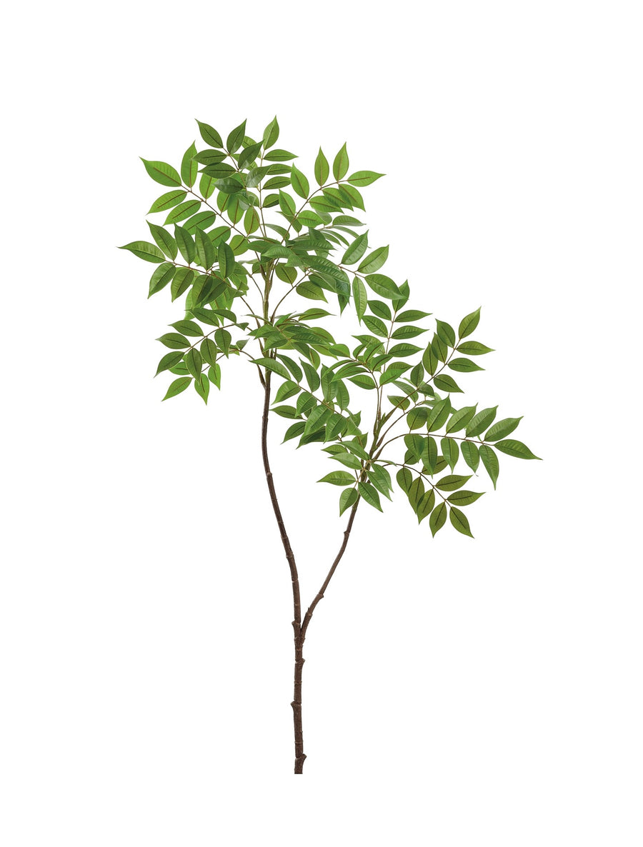 Sumac Leaf Branch