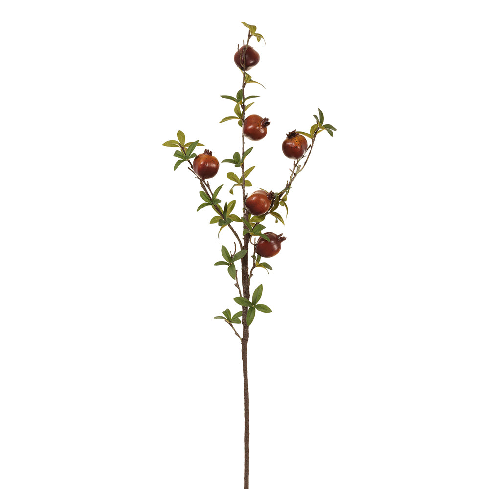 Pomegranate Branch