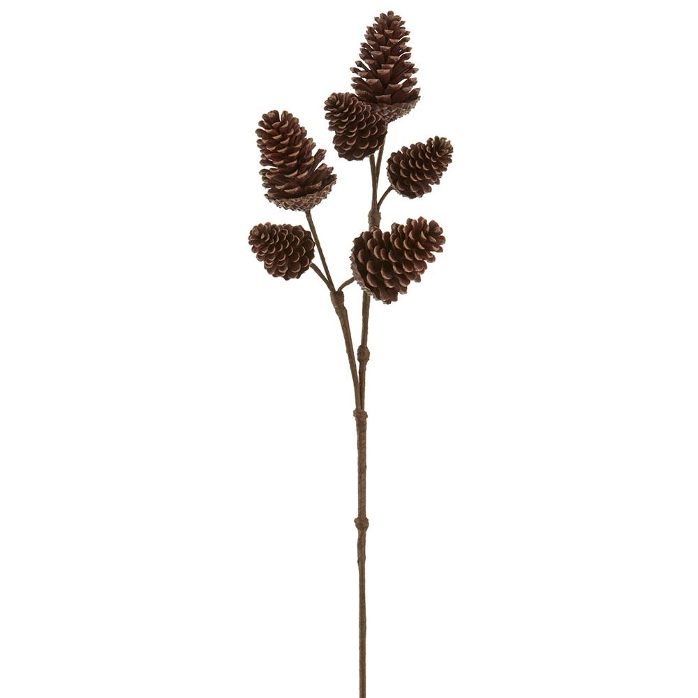 Fresh Brown Pinecone Spray