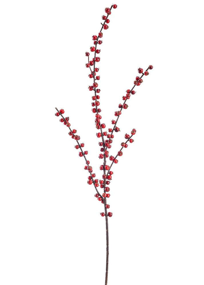 Natural Red Berry Spray