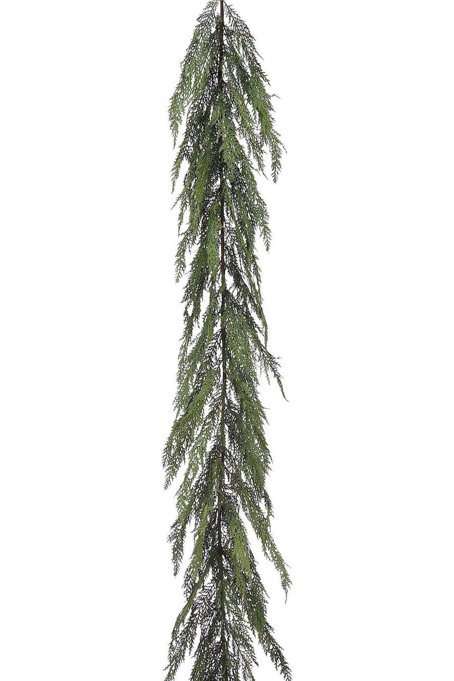 GH Signature Cedar Garland: Case of 6