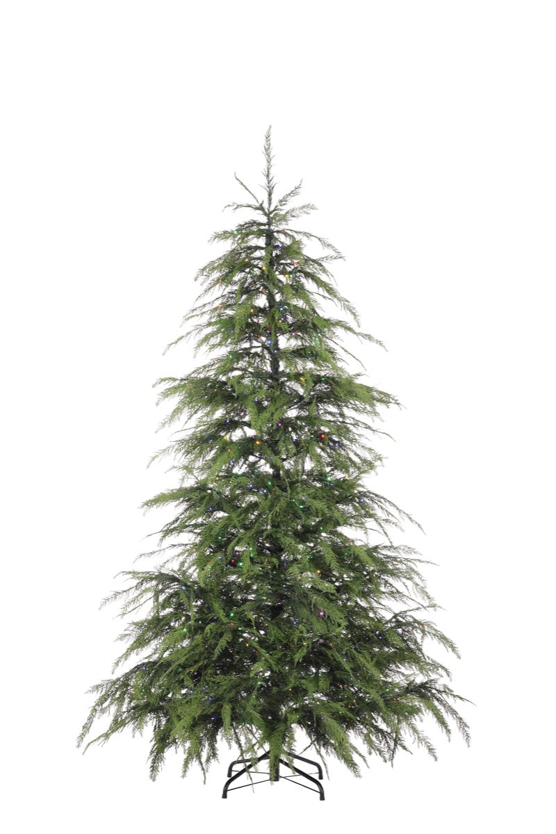 GH Signature 8' Cedar Tree