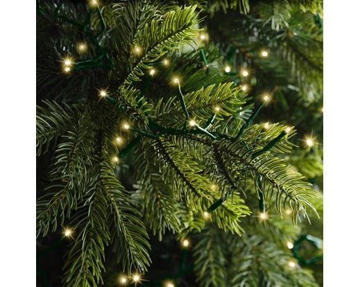 Champagne Twinkle Light