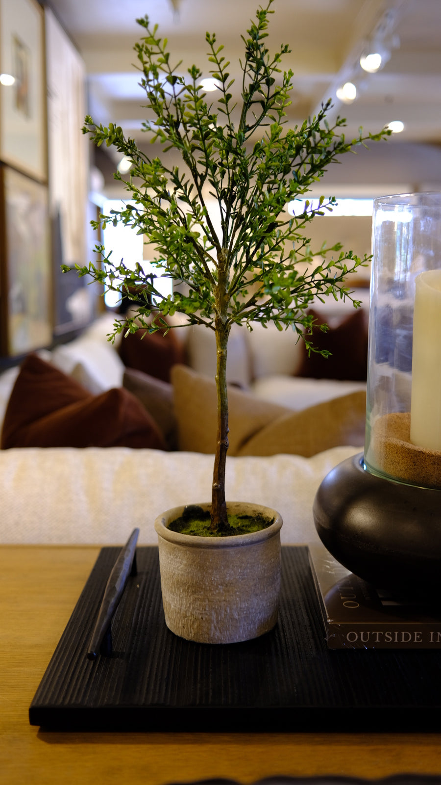 Potted Myrtle Topiary