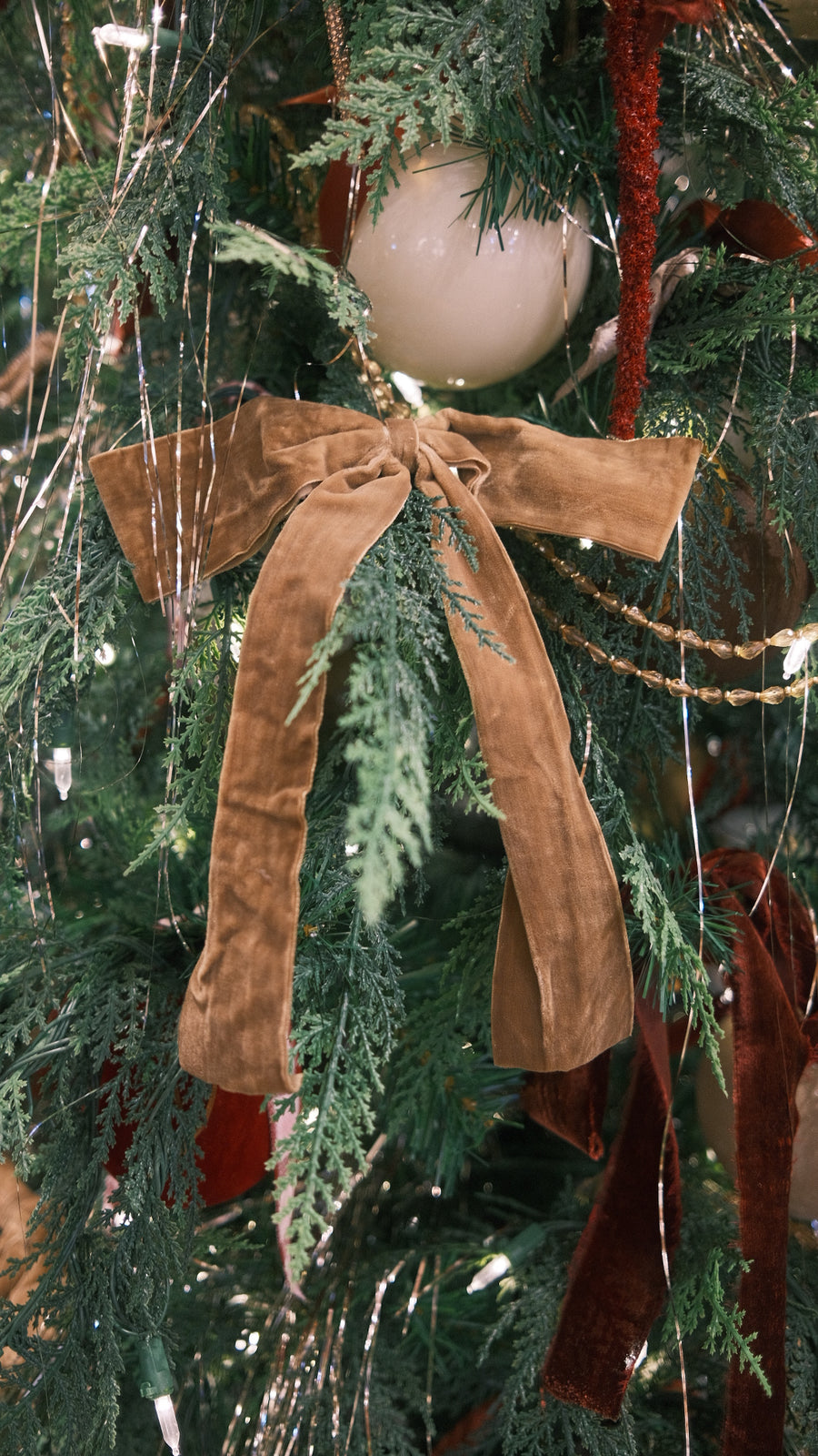 Tan Velvet Bow