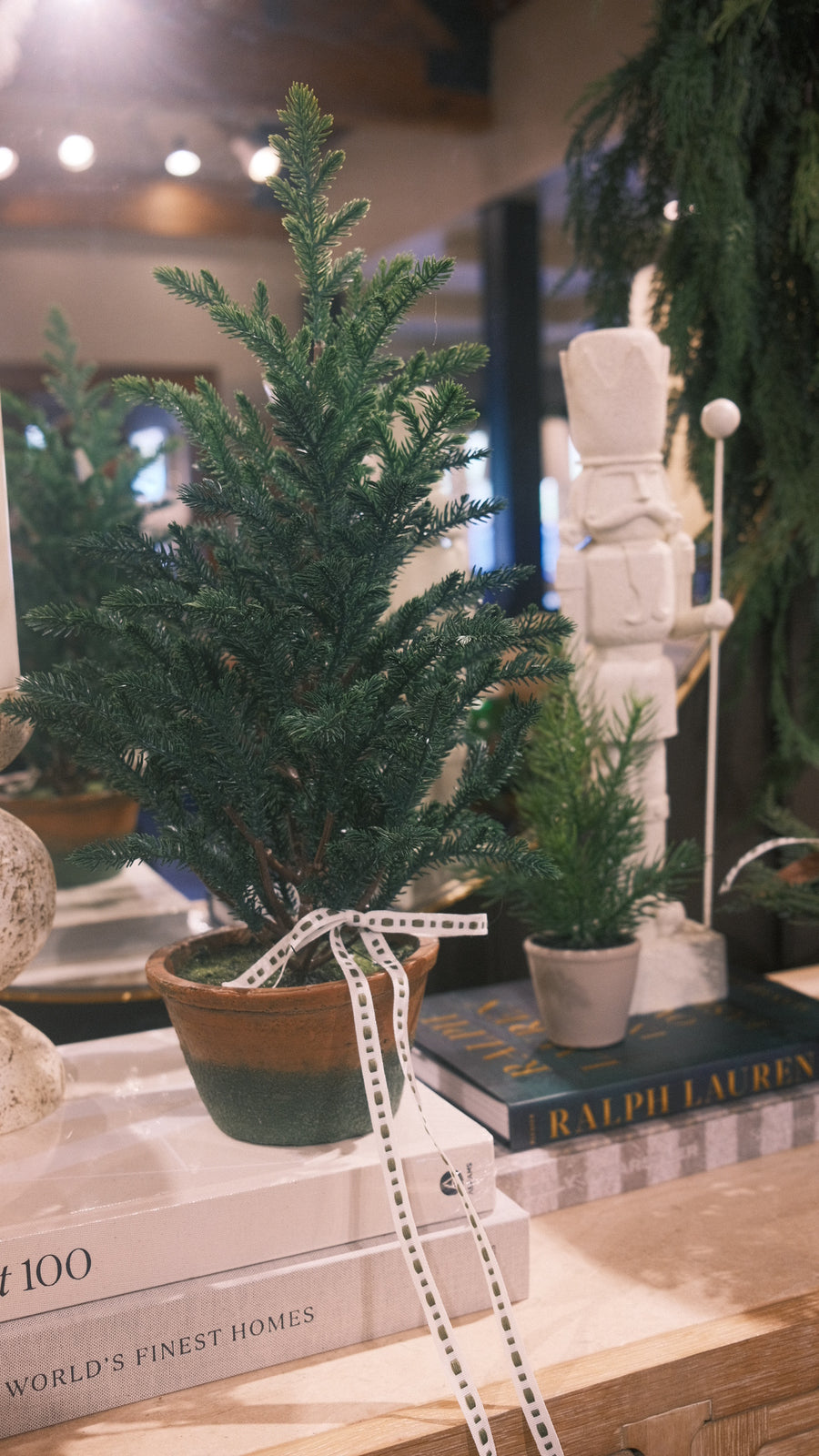 Garden Potted Pine Tree