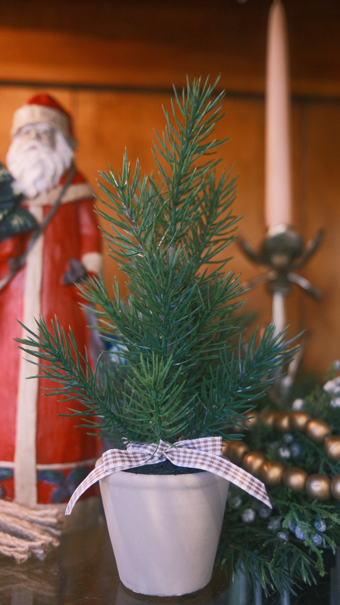 Mini Potted Pine Tree