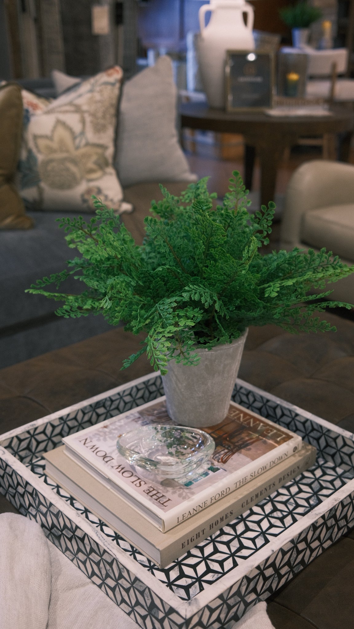 Fern in White Pot