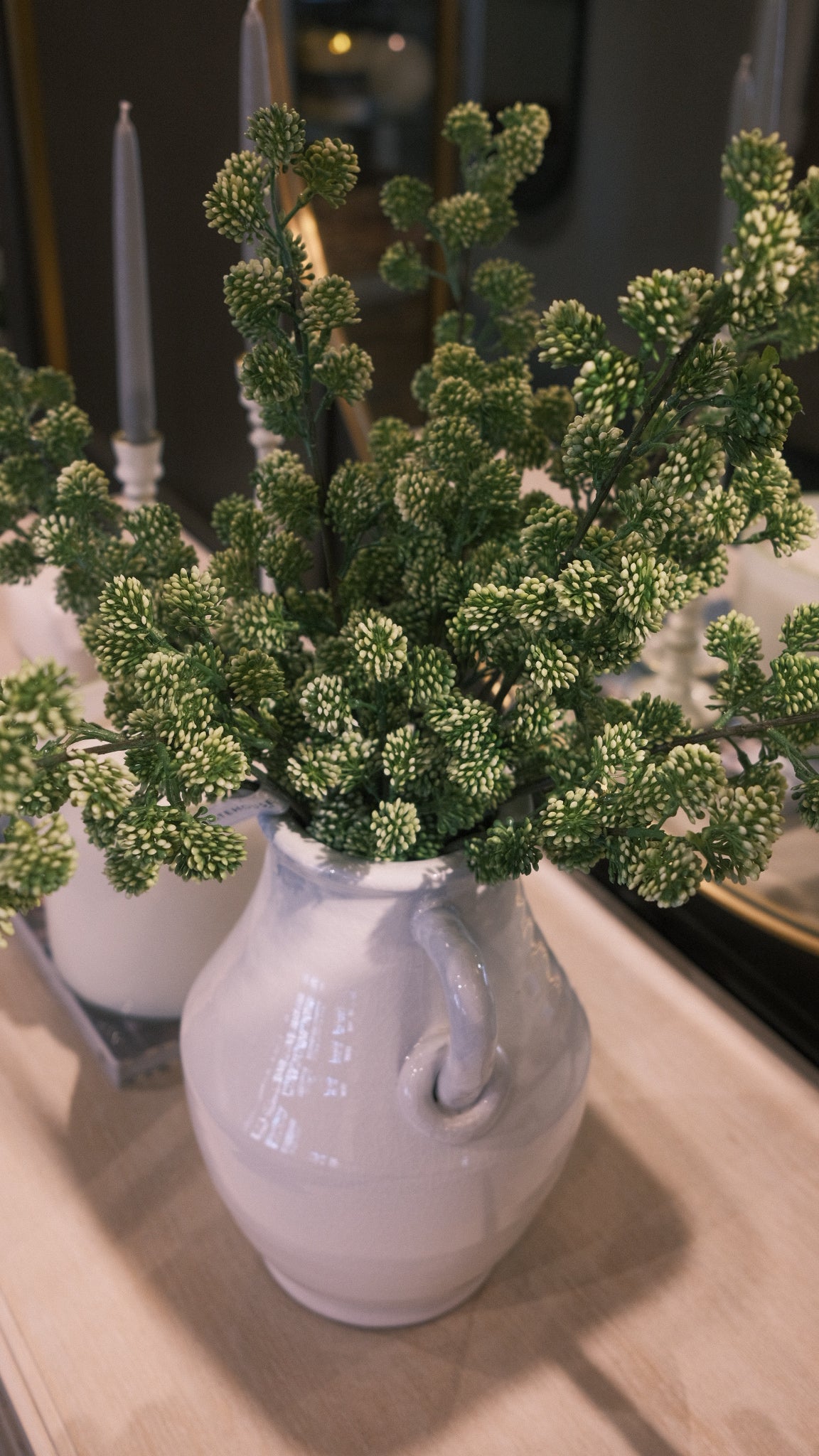 Sedum Stem