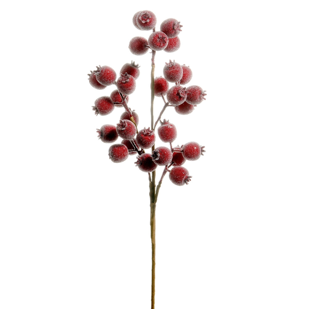 Iced Burgundy Berry Pod Stem