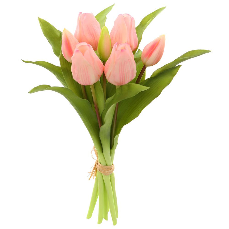Blush Pink Tulip Bundle