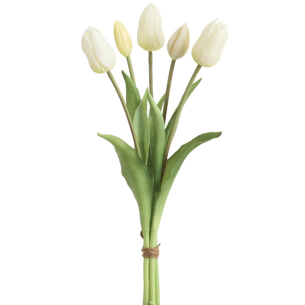 Buttercream Tulip Bundle