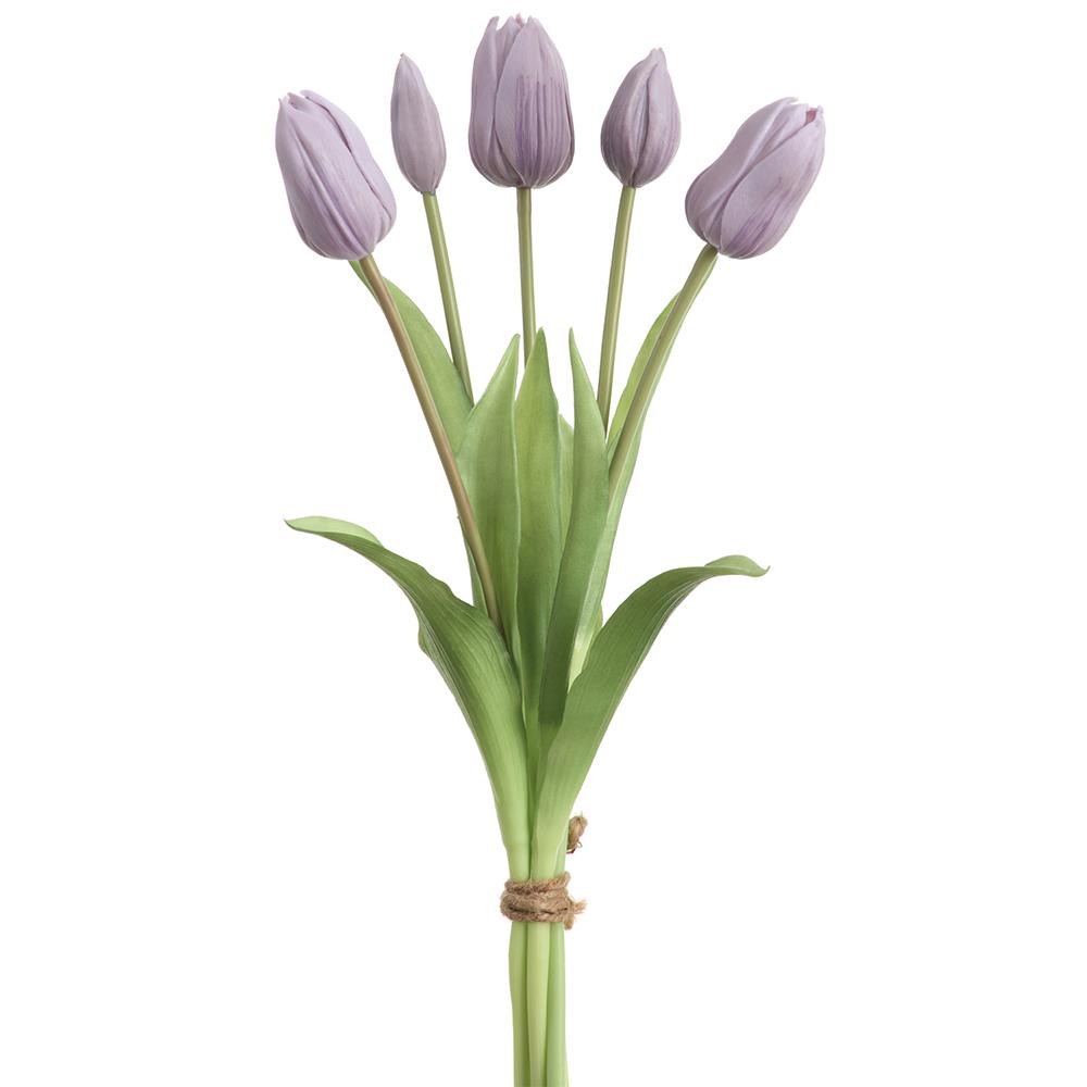 Lavender Tulip Bundle