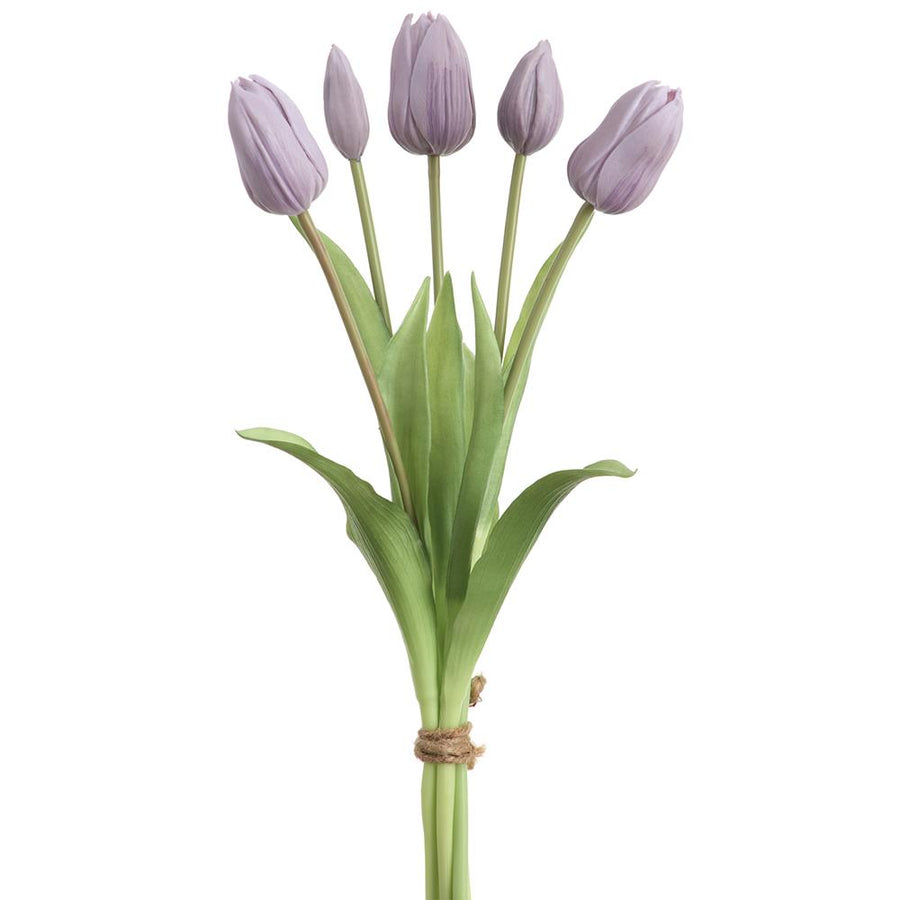 Lavender Tulip Bundle