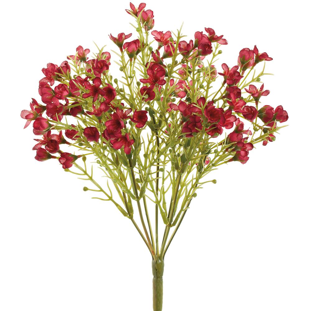Rouge Waxflower Bundle
