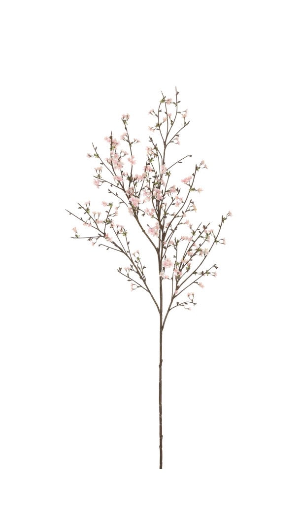 Soft Pink Cherry Blossom Branch