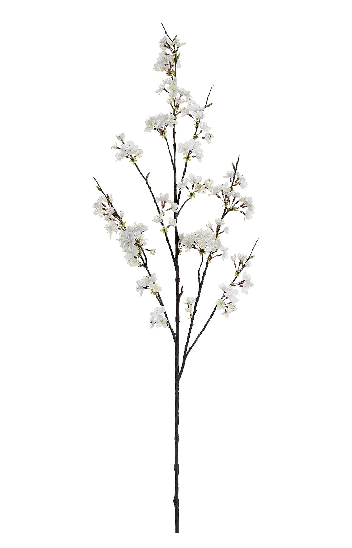 White Cherry Blossom Branch: Case of 6
