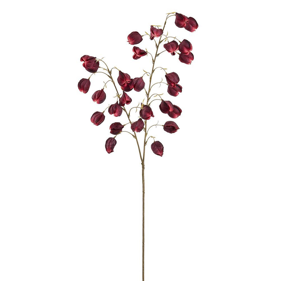 Burgundy Pod Spray