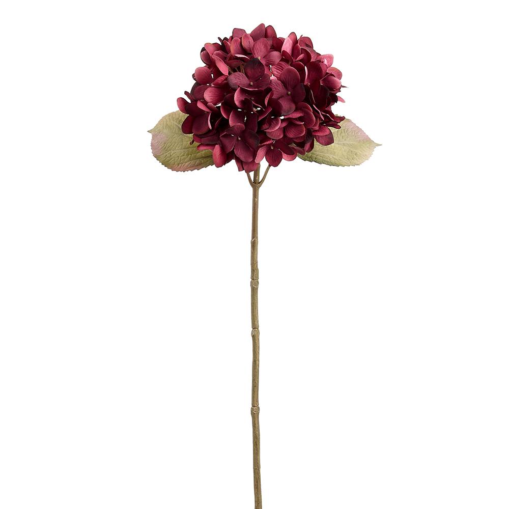 Burgundy Hydrangea Spray