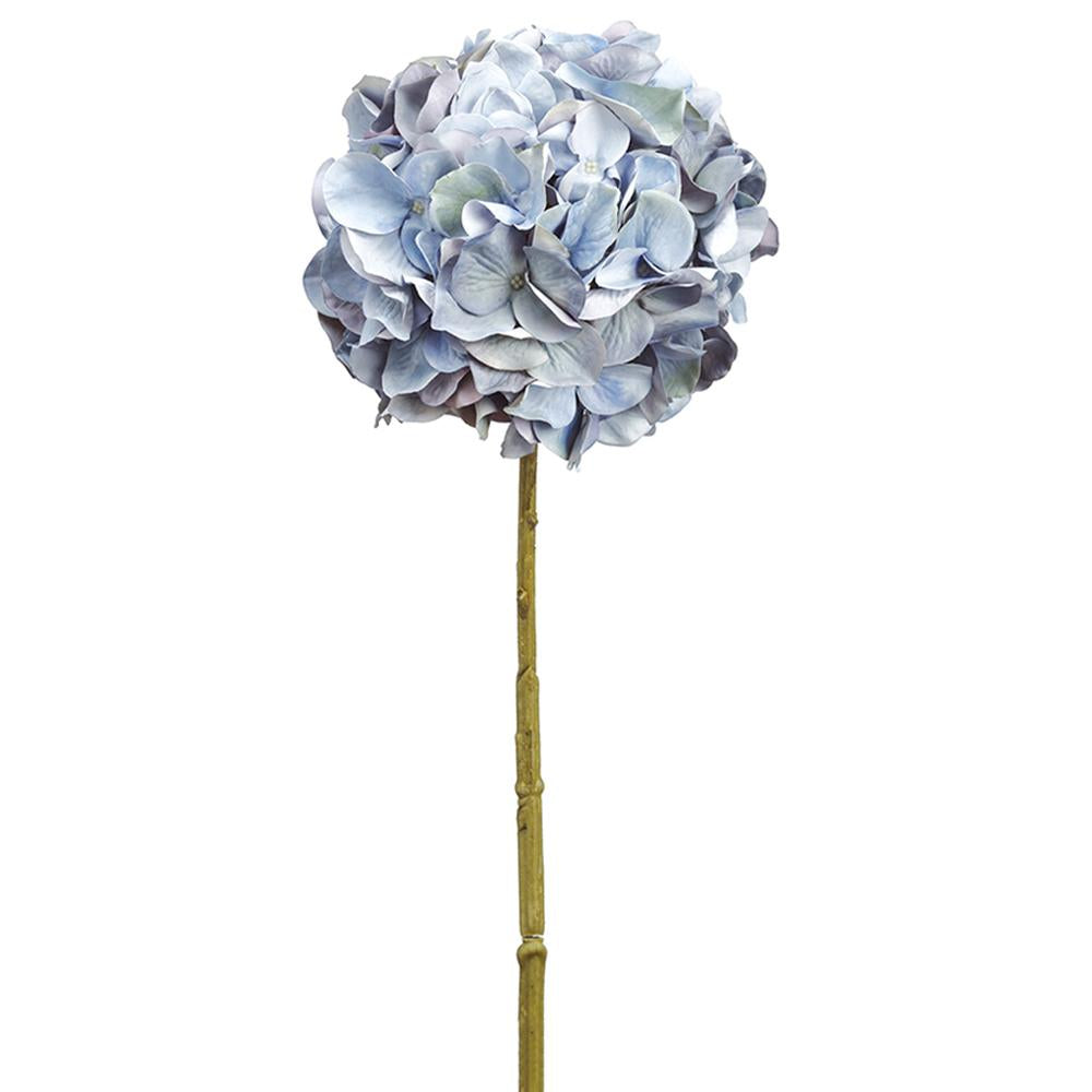 Blue Hydrangea Stem