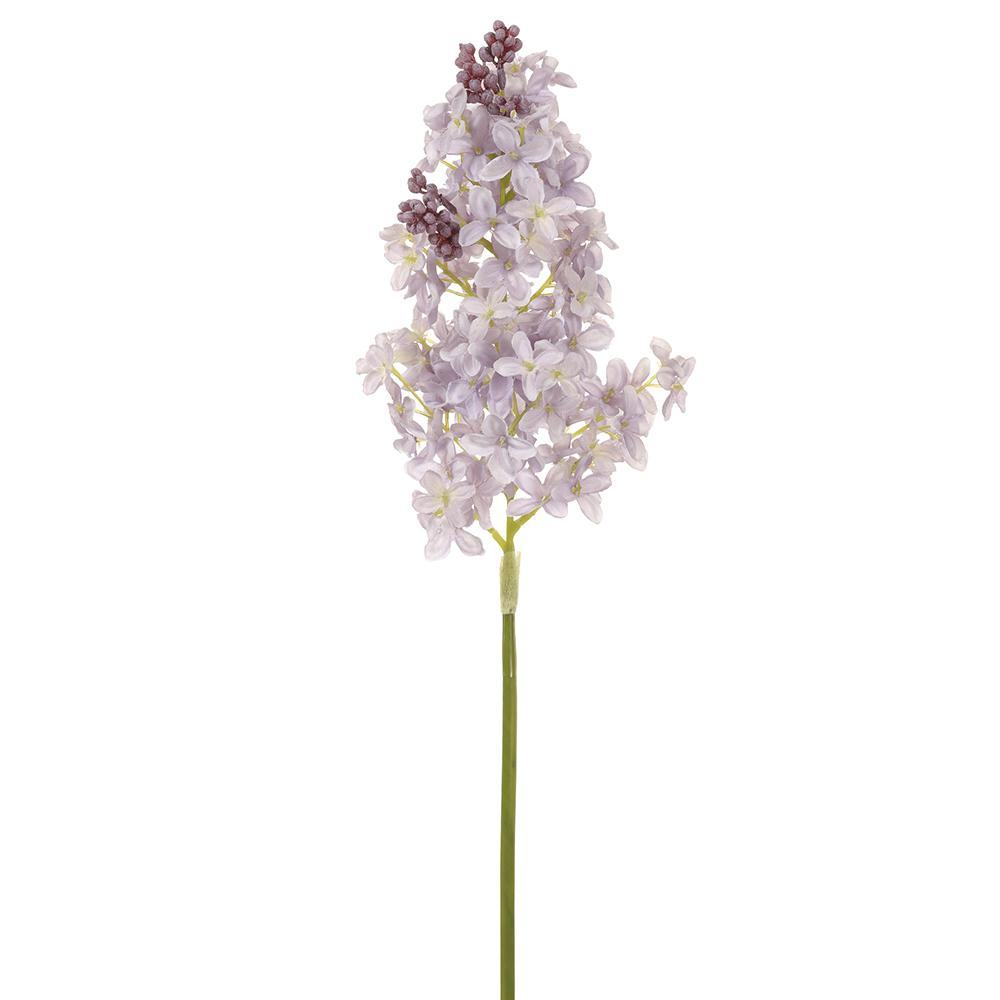 Lavender Lilac Stem