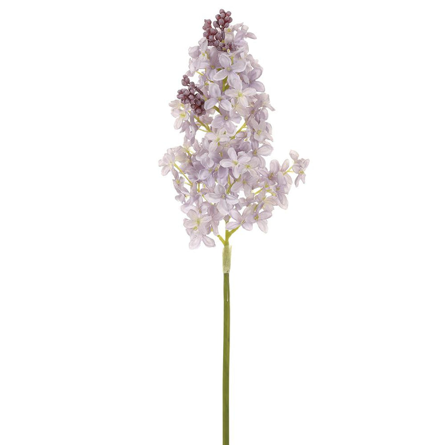 Lavender Lilac Stem