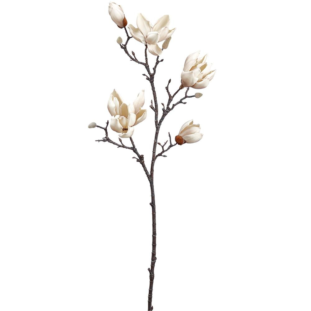 Cream Magnolia Blossom Branch