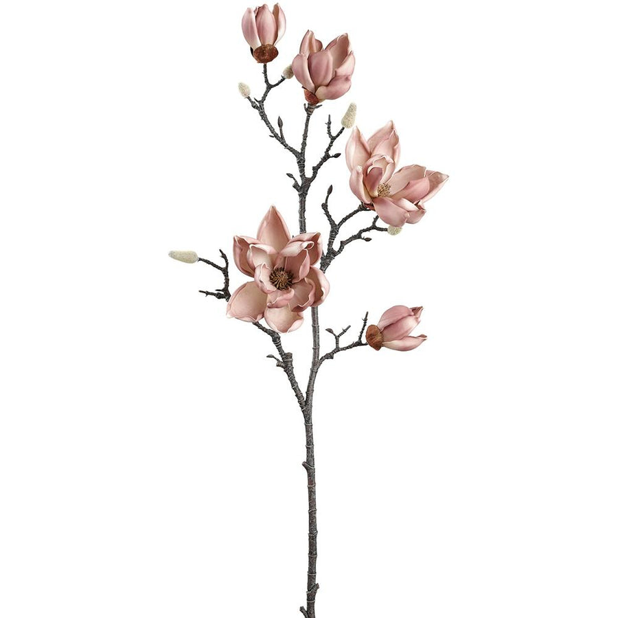 Blush Magnolia Branch