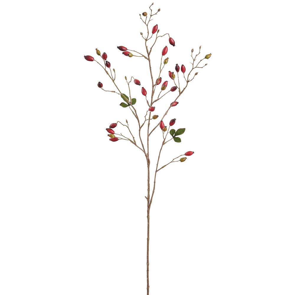 Red Rosehip Spray