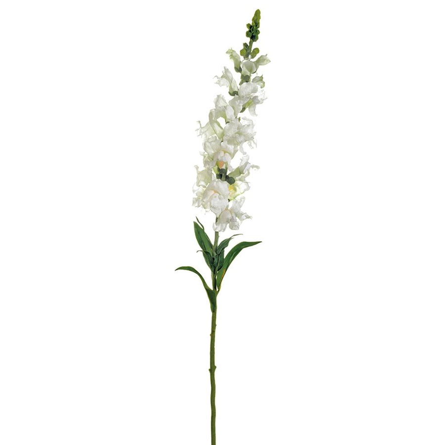 Cream Snapdragon Stem