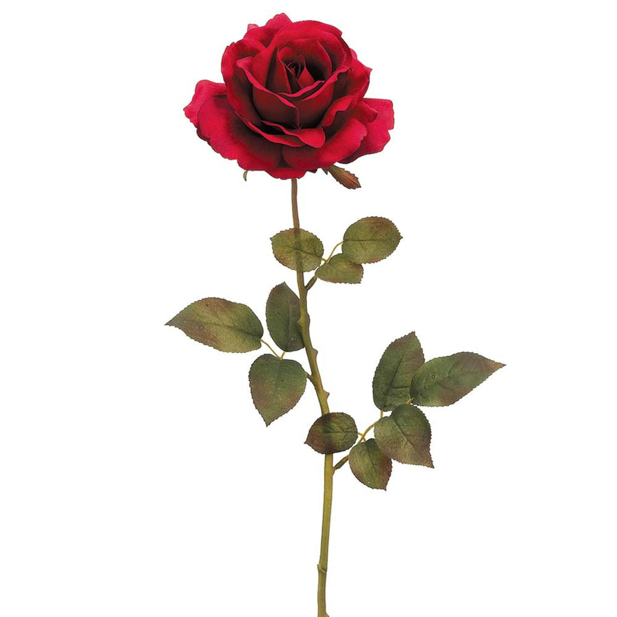 Queen Rose Spray