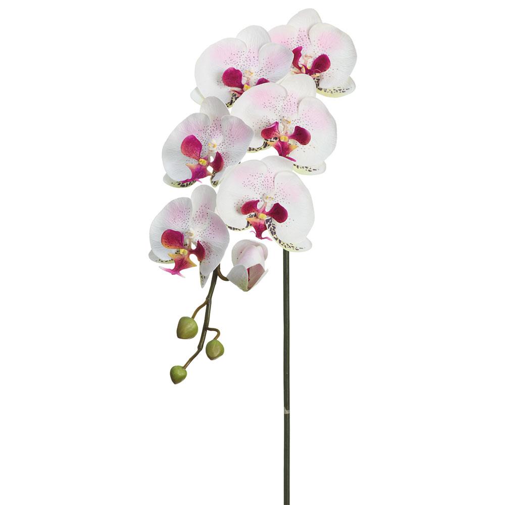 Cream & Mauve Orchid Stem