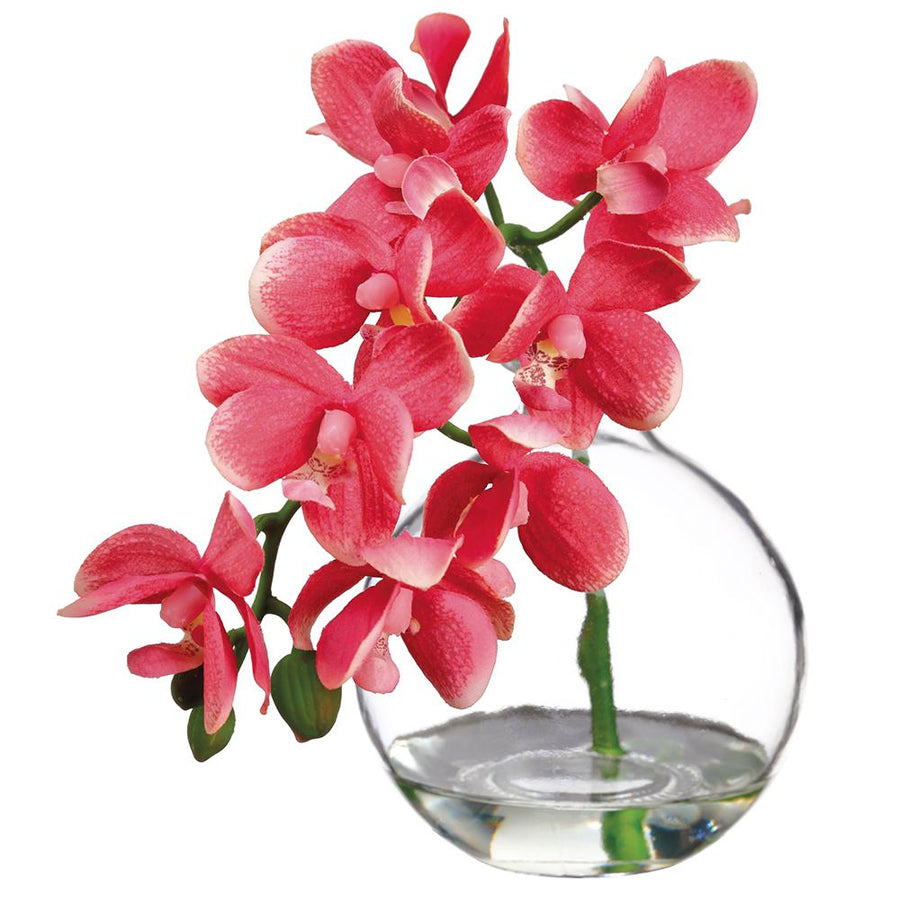 Mini Pink Orchid in Vase