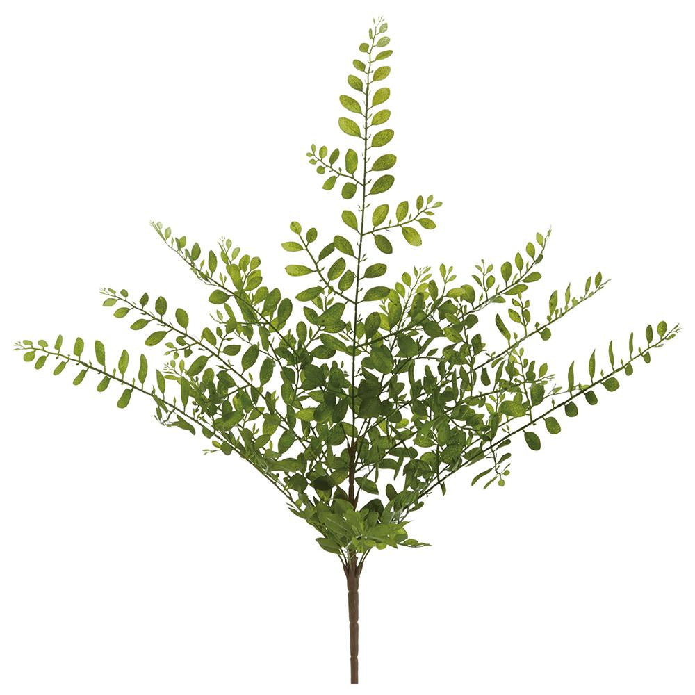 Locust Leaf