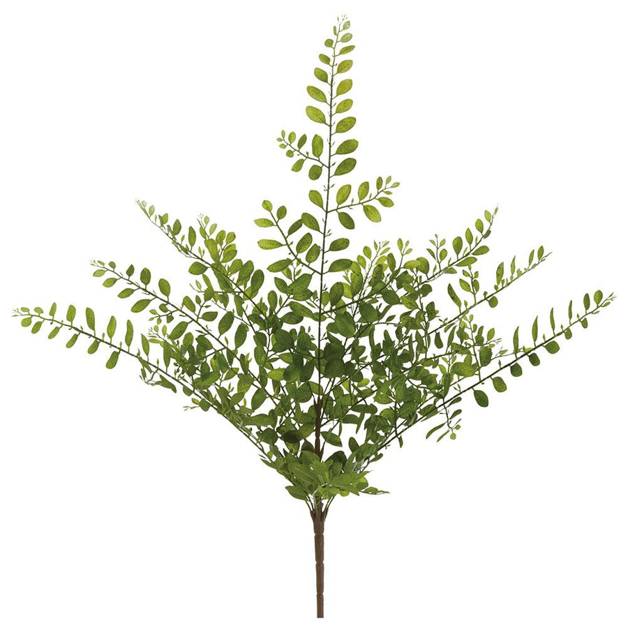 Locust Leaf