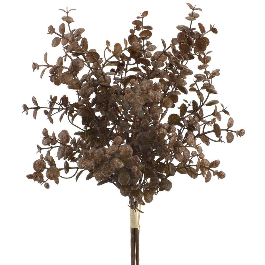 Brown Boxwood Bundle