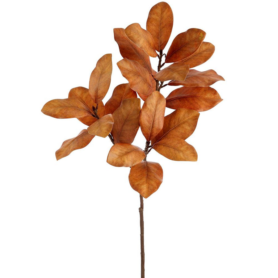 Fall Magnolia Leaf Spray