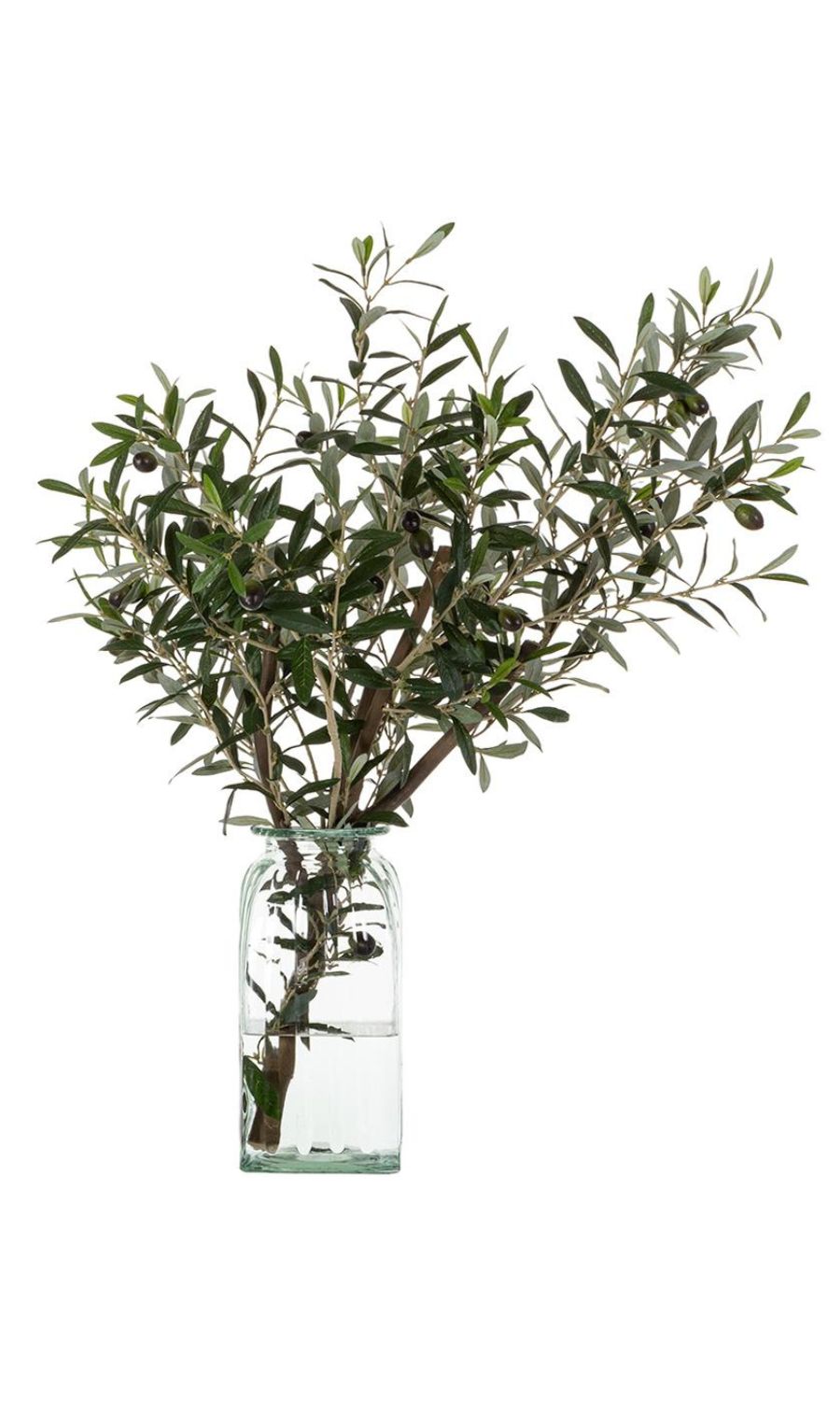 Large Olive Branch in Vase