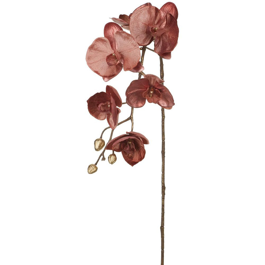 Velvet Orchid Spray