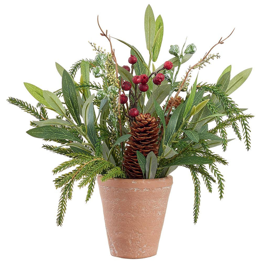 Potted Pine and Berries