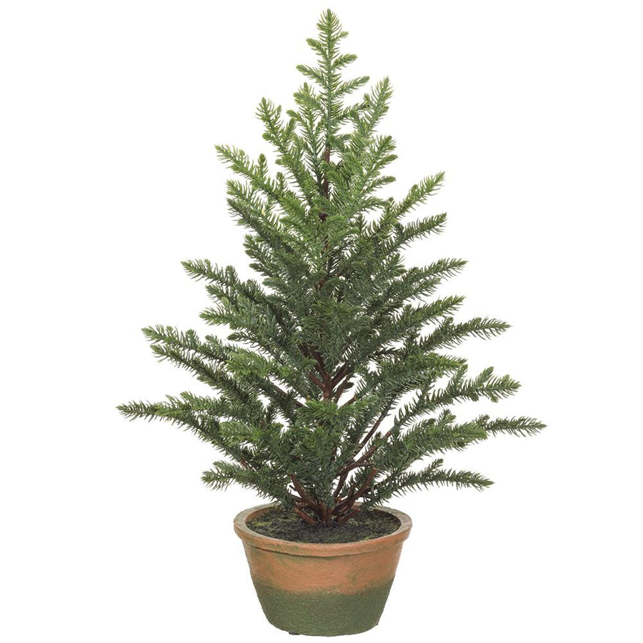 Garden Potted Pine Tree