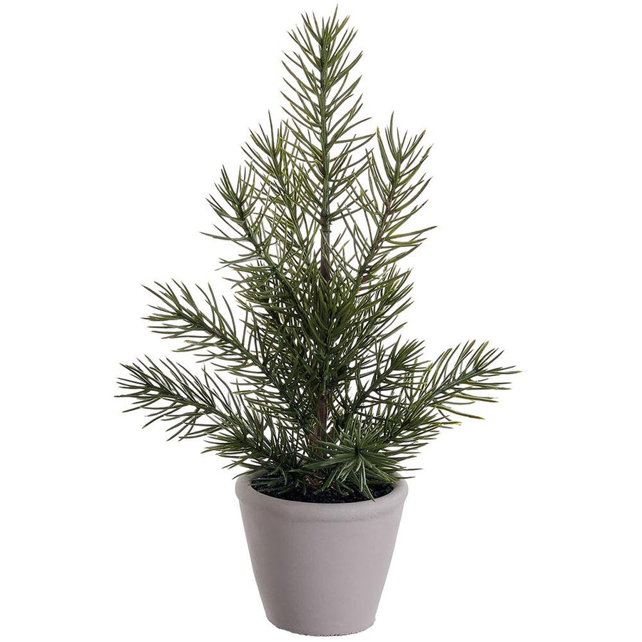 Mini Potted Pine Tree