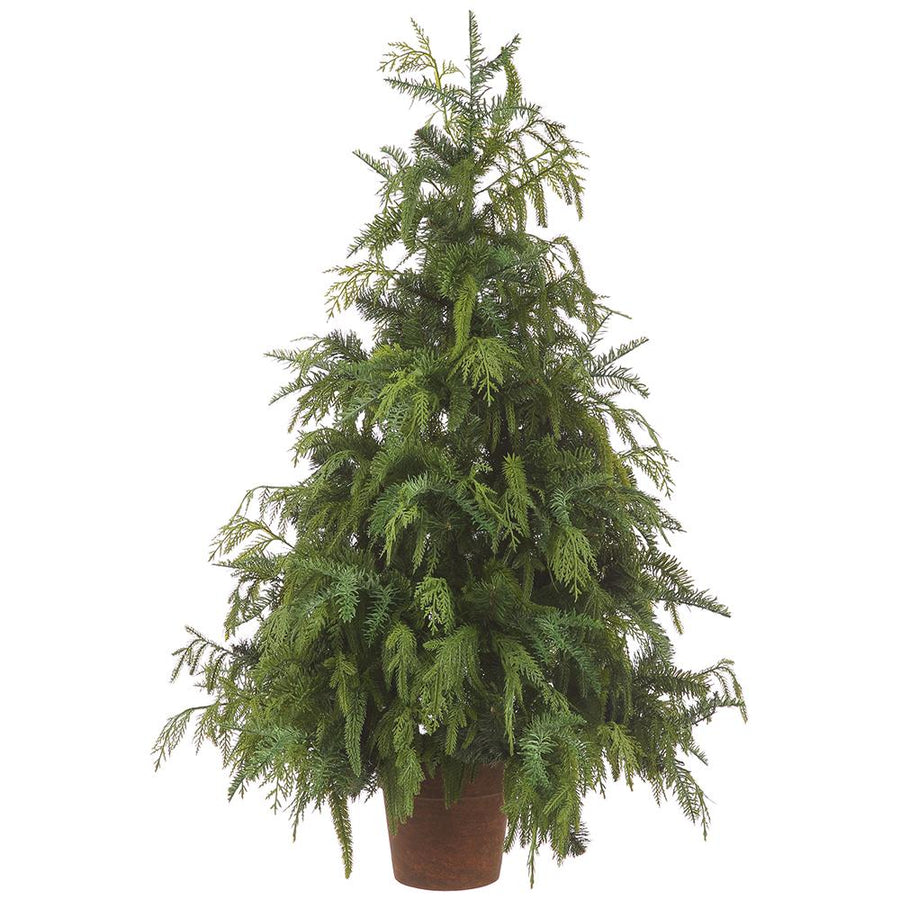 Wild Cedar & Pine Potted Tree