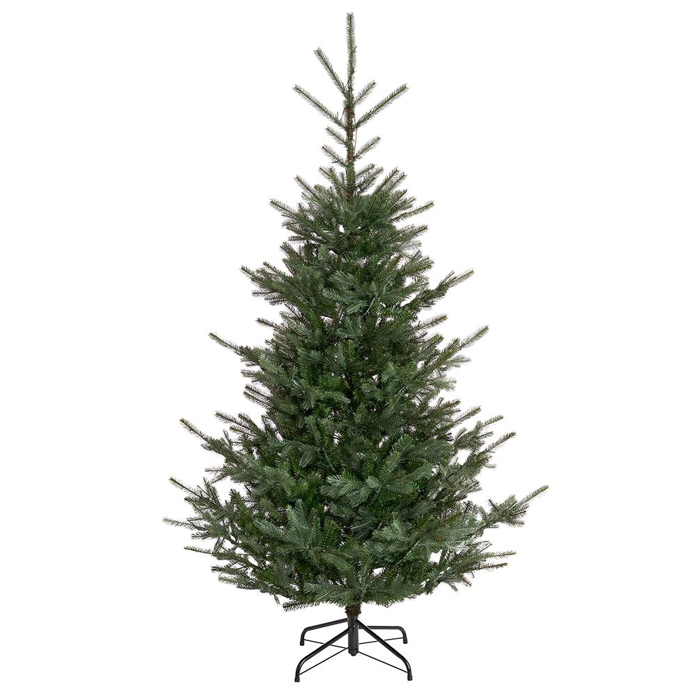 7.5' Oregon Spruce Tree