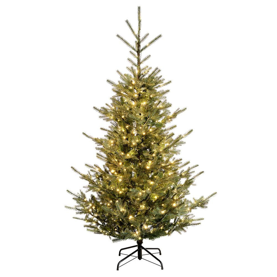 7.5' Oregon Spruce Tree